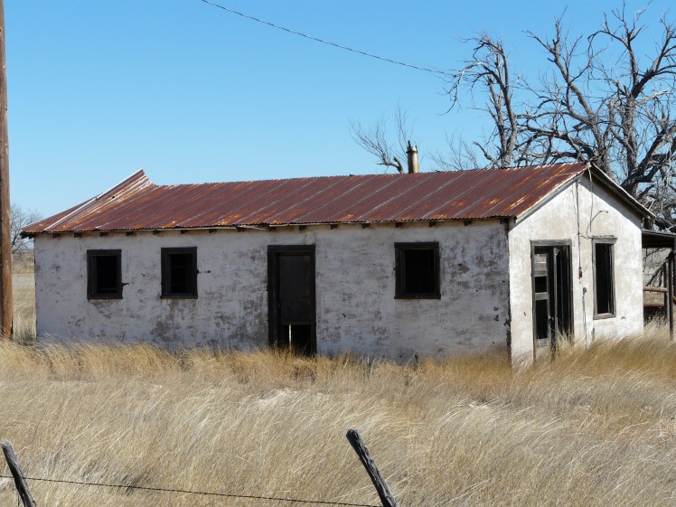 Texan and New Mexico 2015 021
