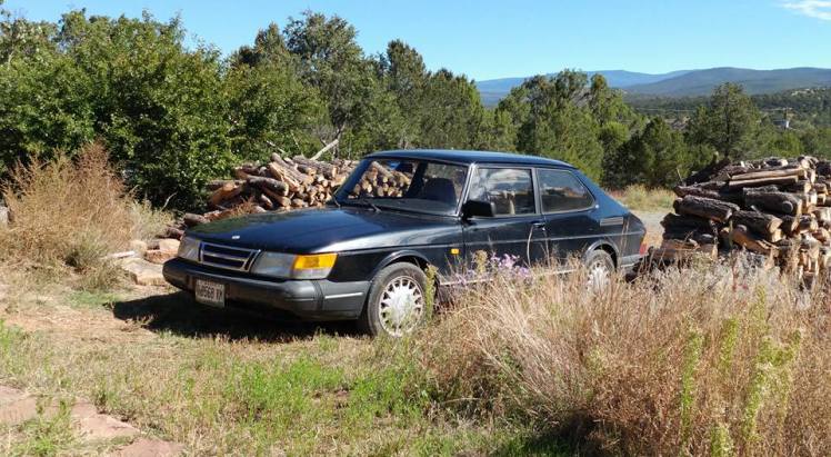 rocinante-enjoying-the-sun