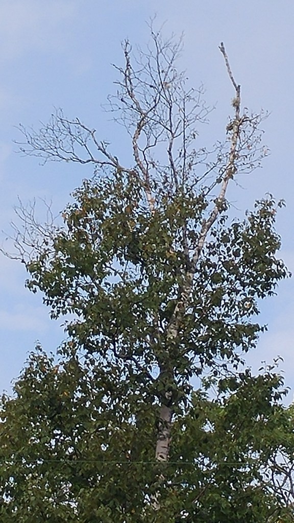 Don't Stare poem photo