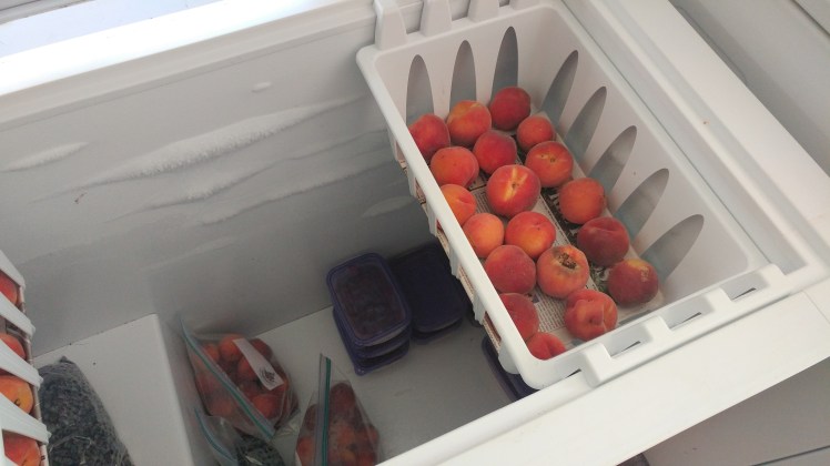 Freeze Peaches