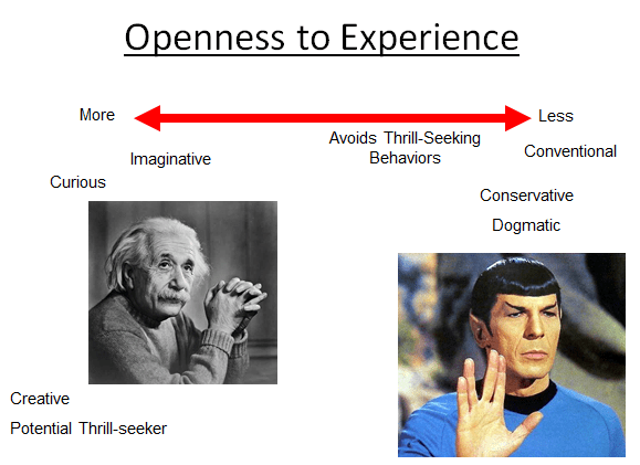 Openness to experience