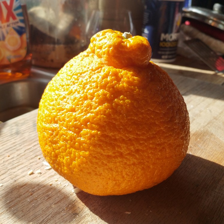 Sumo Orange