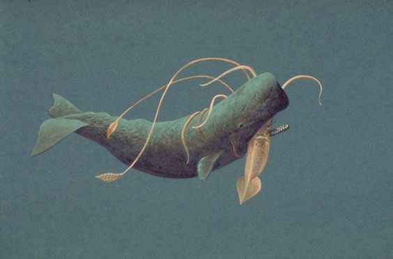 Whale Giant Squid