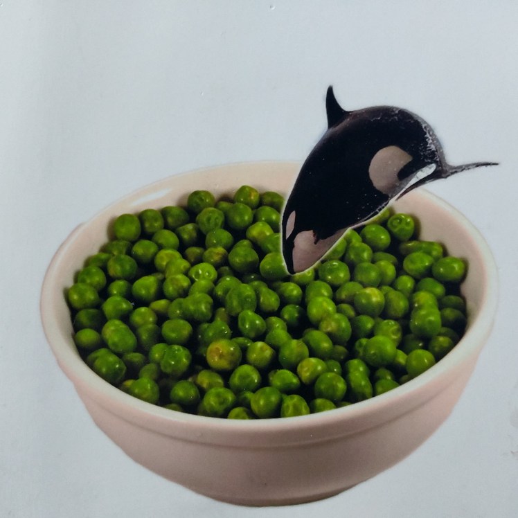Orca in Peas